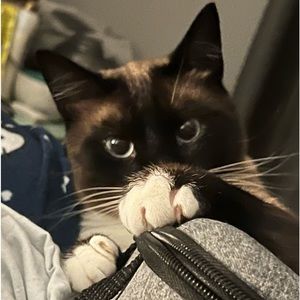 Upcoming | Live Show l Run or Pass | Sunday EDT